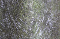 Middle Assendon fibreglass roof work